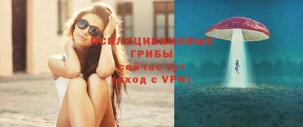 мдма Новодвинск