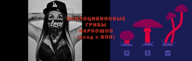 PSILOCYBIN Аркадак