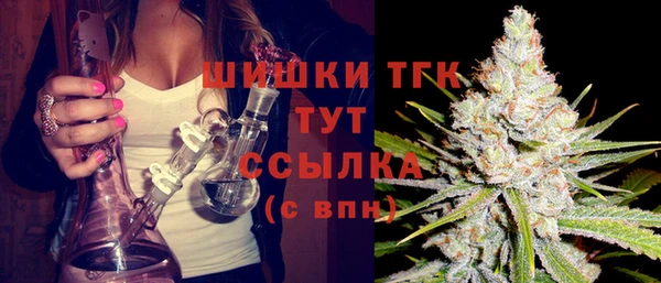 PSILOCYBIN Аркадак