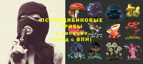 PSILOCYBIN Аркадак