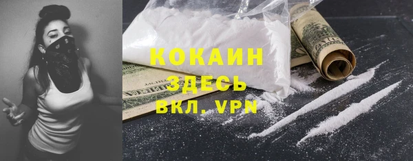 PSILOCYBIN Аркадак