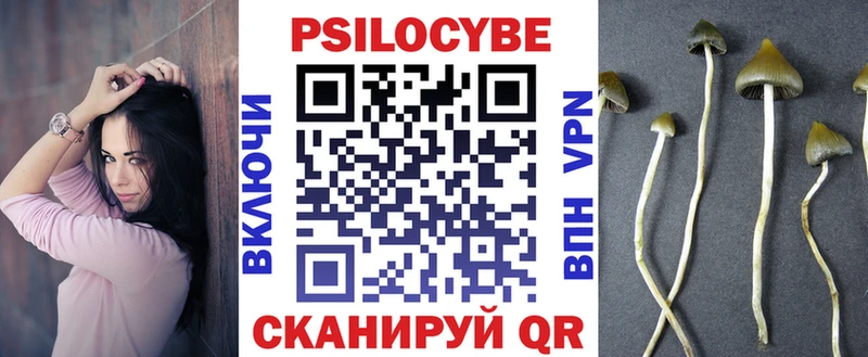наркошоп  Ахтубинск  Псилоцибиновые грибы GOLDEN TEACHER 